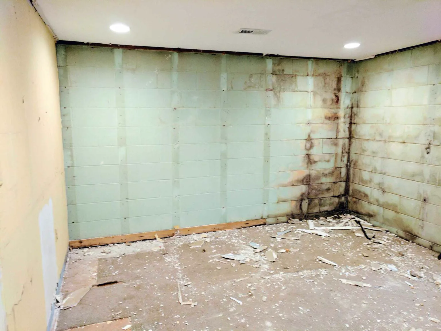 A Suwanee Homeowner’s Guide to Waterproofing Cost