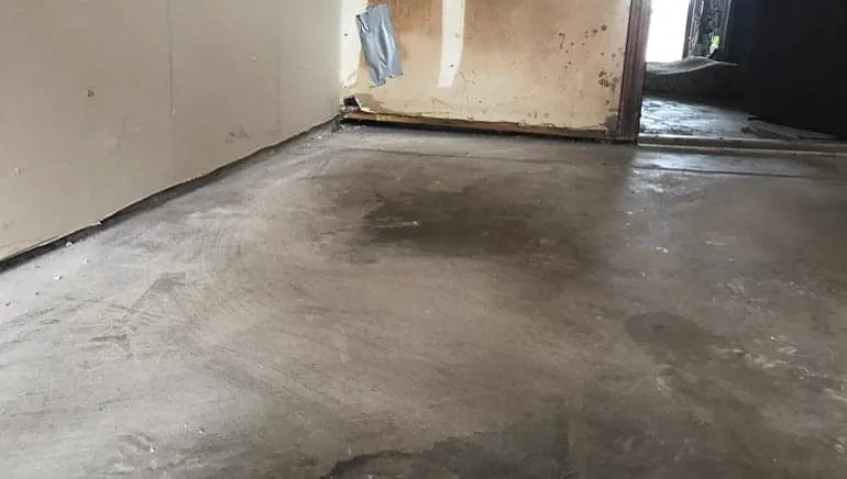 Basement Drying Options in Alpharetta: How to Decide