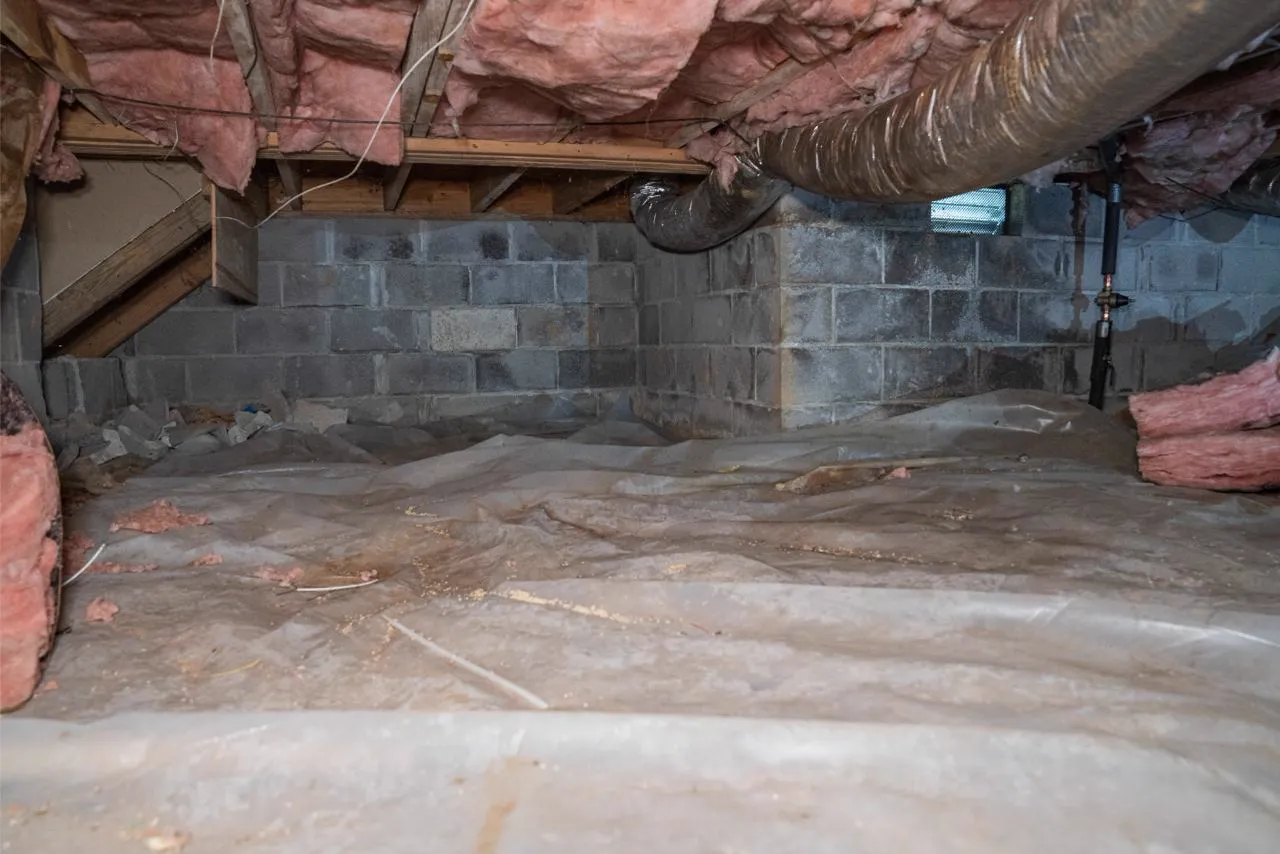 Best Crawl Space Company in Duluth: Red Flags and Green Lights