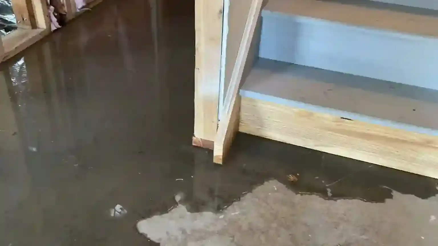 Basement Drying Options in Roswell, Honestly Compared