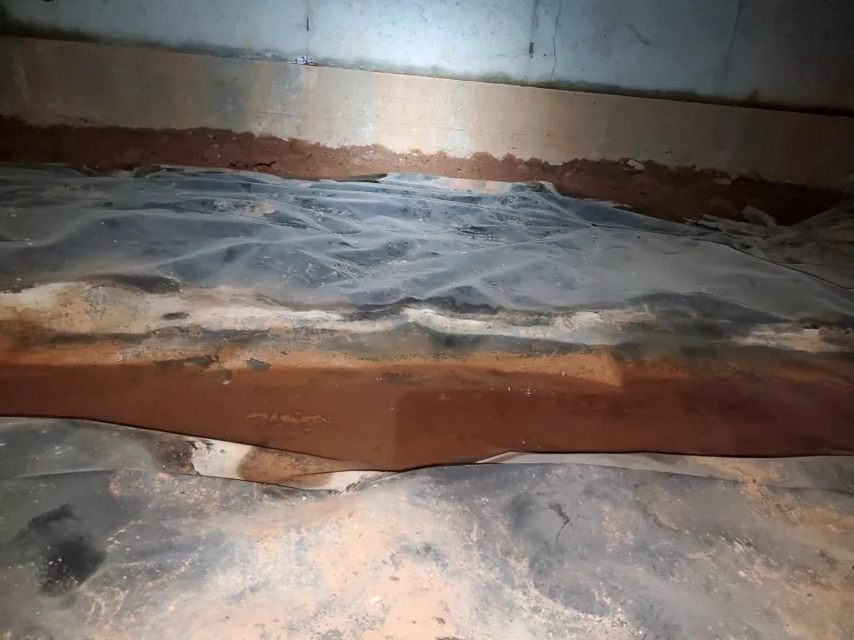 A Dunwoody Guide to Choosing the Best Crawl Space Company