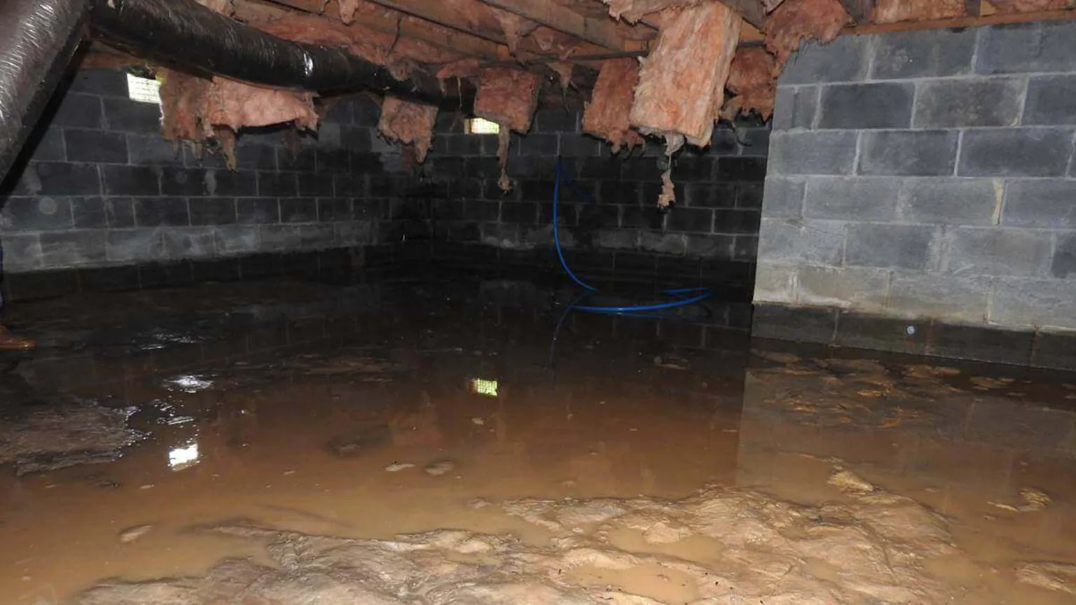 A Suwanee Guide to Choosing the Best Basement Drainage Company