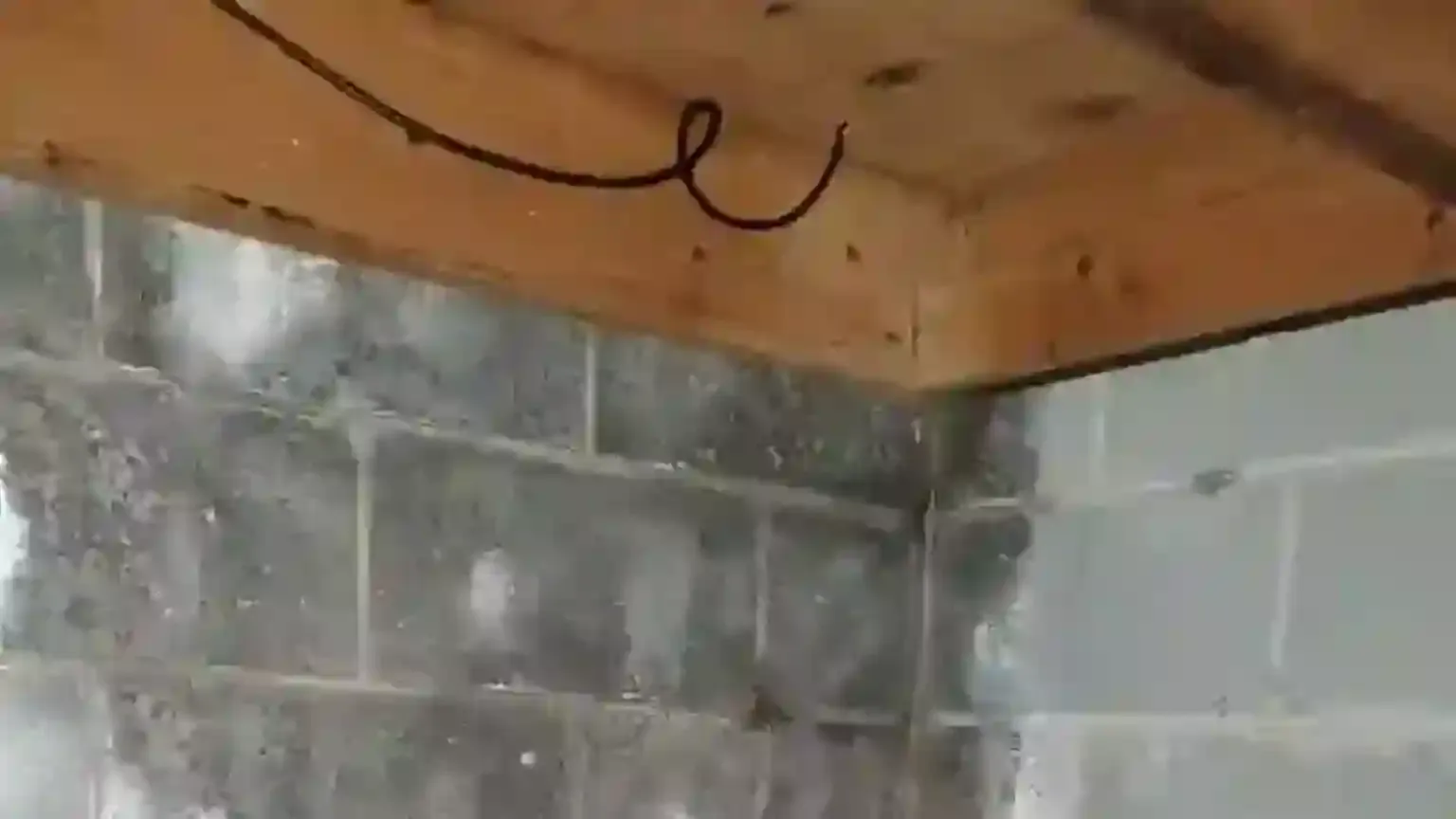 Basement Waterproofing Quotes in Milton, Explained
